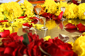 Kalsarp Shanti Puja